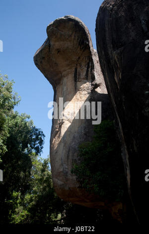 Sigiriya Rock Fortress Cobra Hood Cave, Sri Lanka Stock Photo - Alamy