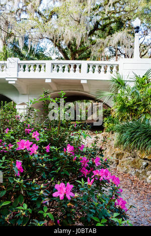 Orlando Florida,H. H. Dickson Azalea Park,historic landmark,WPA project,landscape,garden,bridge,azalea,flowers,hiking nature trail,path,live oak tree Stock Photo
