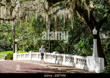 Orlando Florida,H. H. Dickson Azalea Park,historic landmark,WPA project,landscape,bridge,Spanish moss live oak tree,woman female women,jogging,exercis Stock Photo