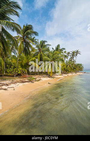 Beautiful palm fringed beach, Achutupu, San Blas Islands, Kuna Yala, Panama, Central America Stock Photo
