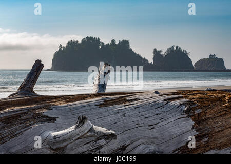 James Island with driftwood on the beach at La Push on the Pacific Northwest coast, Washington State, USA Stock Photo