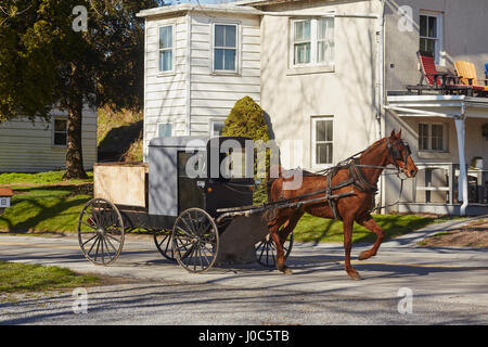 Amish pickup buggy at a crossroads in Lancaster County, Pennsylvania, USA Stock Photo