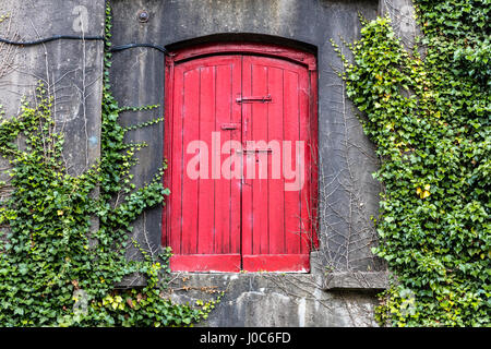 red door  with growing plants on a  wall Stock Photo