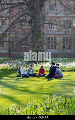 Cambridge University students studying outsidein the gardens of  Sidney Sussex College, Cambridge University, Cambridge UK Stock Photo