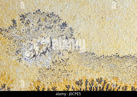 Dendrite in limestone rock. found in solnhofen (Germany) Stock Photo