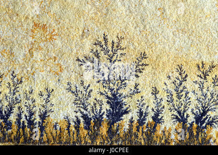 Dendrite in limestone rock. found in solnhofen (Germany) Stock Photo