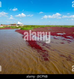 PANJIN, LIAONING, CHINA - 29AUG2016: The Red Beach, located in the Liaohe Delta some 30km south west of Panjin City, Liaoning, China. The beach is a m Stock Photo