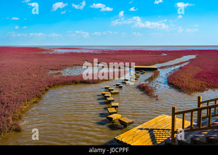 The Red Beach, located in the Liaohe Delta some 30km south west of Panjin, Liaoning, China. The beach is a marshy area of huge importance to birdlife Stock Photo