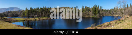 A panoramic view of the beautiful Tarn Hows in the Lake District in Cumbria, UK. Stock Photo