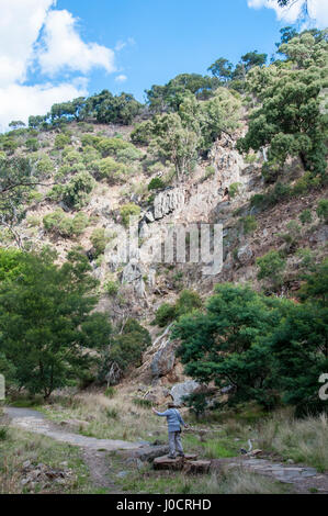 Woman walking in Anakie Gorge, Brisbane Ranges National Park, west of Melbourne, Victoria, Australia Stock Photo