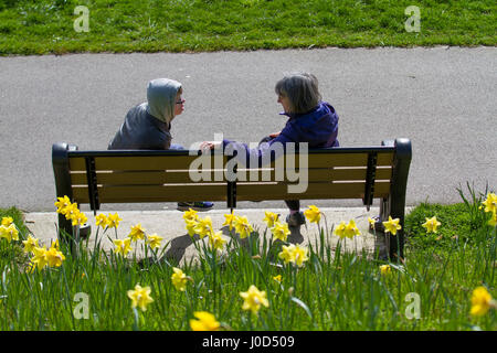 Aberdeen, Scotland, UK.  UK Weather.   12th April, 2017. Spring Sunshine and spring daffodils at Riverside as locals take advantage of good weather over the River Dee. Aberdeen City Council has overseen the creation of the 0.7 miles stretch of the daffodil lined cycling-walking route along the north bank of the River Dee, between the King George VI Bridge and the Bridge of Dee,   Credit: MediaWorldImages/Alamy Live News Stock Photo