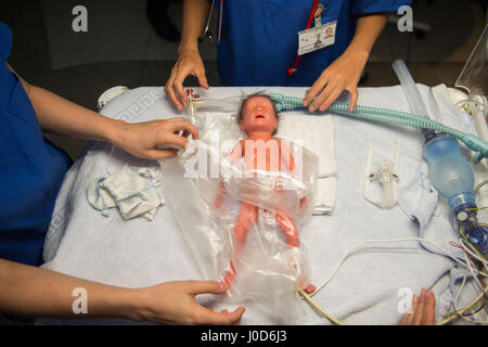 Tuebingen, Germany. 12th Apr, 2017. Doctors carry out a demonstration using a doll representing a prematurely born baby in the women's clinic in Tuebingen, Germany, 12 April 2017. 'Paul', a premature birth simulation system, can simulate a variety of scenarios and is used for training purposes in the hospital. Photo: Lino Mirgeler/dpa/Alamy Live News Stock Photo