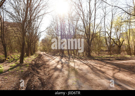 Pripjat, Ukraine. 09th Apr, 2017. The abandoned city Pripyat, Ukraine near the Chernobyl nuclear power plant, April 10, 2017. Reactor No. 4 exploded on April 26, 1986, spewing radioactive clouds across much of Europe. Credit: Ludek Perina/CTK Photo/Alamy Live News Stock Photo