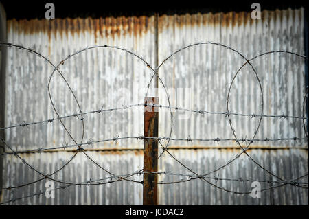 razor wire and barbed wire fence Stock Photo