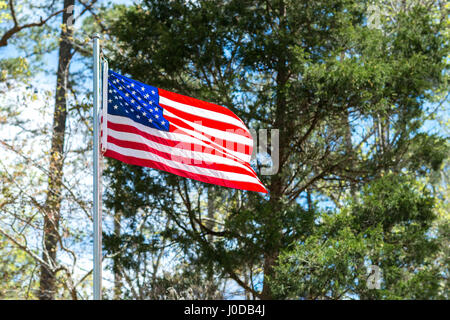 American flag blowing in wind on a spring day in the woods. Stock Photo