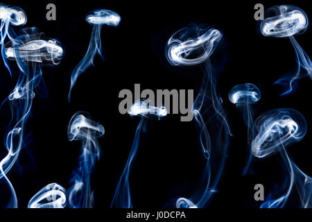 Smoke medusa on a black font. This photo is a minimalist representation of medusa in the sea with a great quality. Stock Photo