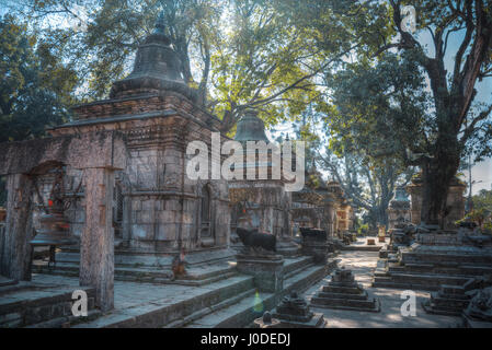 Freely walk monkey. Votive temples and shrines in a row at Pashupatinath Temple, Kathmandu, Nepal. Stock Photo