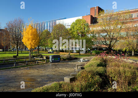 Manchester Metropolitan University (inc Business School, Law School and Kenneth Green Library) from All Saints Park, Manchester, Gtr Manchester, UK Stock Photo
