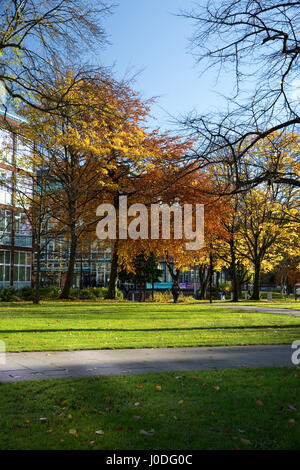 Manchester Metropolitan University (inc Business School, Law School and Kenneth Green Library) from All Saints Park, Manchester, Gtr Manchester, UK Stock Photo