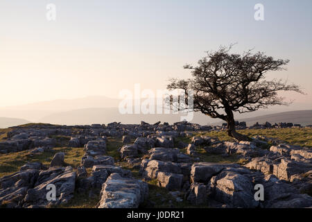 Ingleborough in the Yorkshire Dales, as seen from Winskill Stones, North Yorkshire. Stock Photo