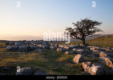 Ingleborough in the Yorkshire Dales, as seen from Winskill Stones, North Yorkshire. Stock Photo