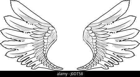 Wings of the angel icon vector. Isolated contour symbol illustration  9936677 Vector Art at Vecteezy