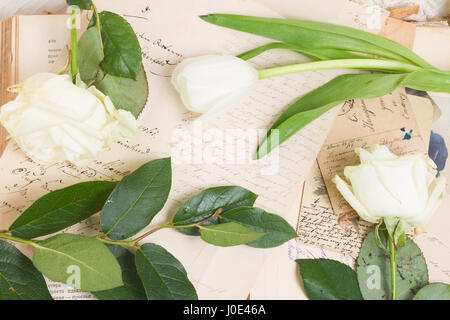 open empty old book with old handwritten letters and fresh flowers Stock Photo