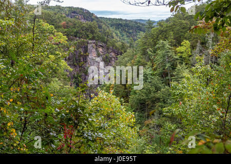 One of the most spectacular canyons in the eastern U.S., Tallulah Gorge is two miles long and nearly 1,000 feet deep. Stock Photo