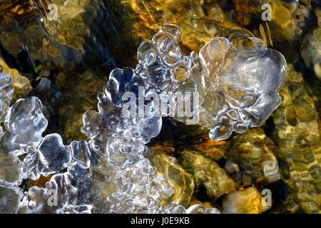 Ice on the river bank, Isar, nature reserve Isarauen, Upper Bavaria, Bavaria, Germany Stock Photo
