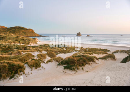 Sandy beach, dunes, Sandfly Bay, Dunedin, Otago, Otago Peninsula, Southland, New Zealand Stock Photo