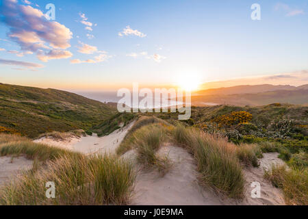 Sunset over the sea, sand dunes, Sandfly Bay, Dunedin, Otago, Otago Peninsula, Southland, New Zealand Stock Photo