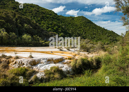 Marble terraces, Waimangu Volcanic Valley, North Island, New Zealand Stock Photo