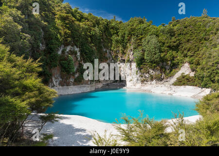 Inferno Crater Lake, Turquoise Lake, Waimangu Volcanic Valley, North Island, New Zealand Stock Photo