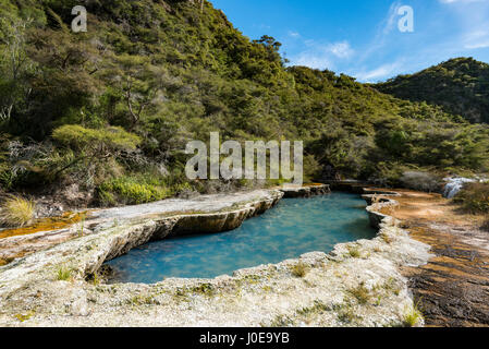 Blue Pool, geothermal source, Waimangu Volcanic Valley, North Island, New Zealand Stock Photo