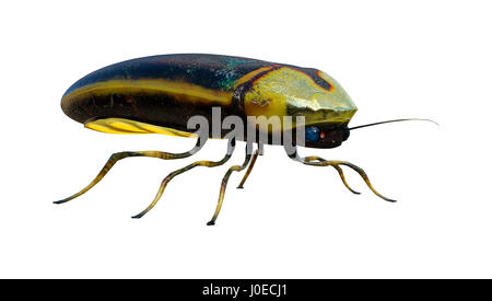 3D rendering of a lightning bug isolated on white background Stock ...