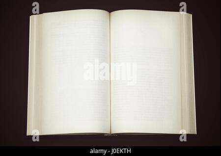Open book with blank pages Stock Photo