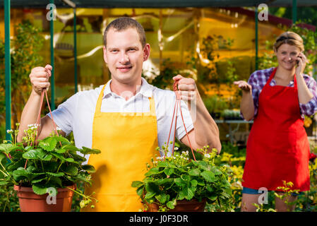 Farmer with a strawberry crop in a greenhouse posing Stock Photo