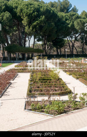 Rose Garden Parque Del Oeste, Madrid, Spain Stock Photo