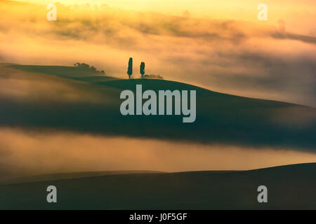 Tuscany, two lonely trees and fog in backlight. Italy, Europe. Stock Photo