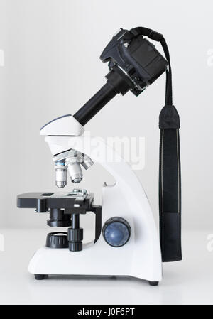 DSLR Camera attached with adapter to microscope. Stock Photo