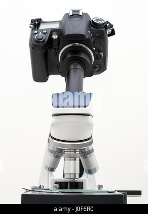 DSLR Camera attached with adapter to microscope. Stock Photo