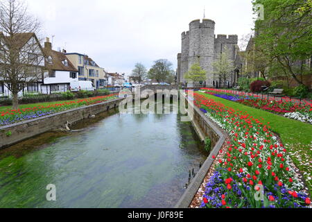 Westgate, which is the Medieval gate house area in Canterbury which is part of the city wall, the largest surviving in England. Stock Photo