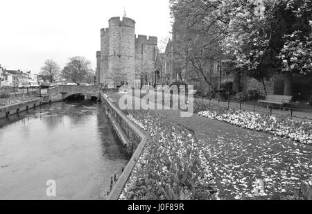 Westgate, which is the Medieval gate house area in Canterbury which is part of the city wall, the largest surviving in England. Stock Photo