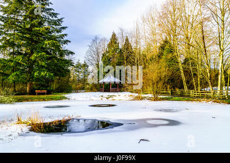 Partly Frozen Pond in Campbell Valley Park in the township on Langley in British Columbia, Canada on a nice winter day Stock Photo