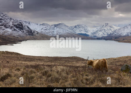 Loch Arklet near Aberfoyle in the Lomond and Trossachs National Park Stock Photo