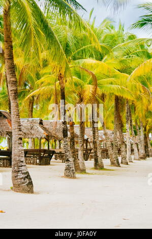 Nipa huts on the white coral sand beach surounded with palms Stock Photo