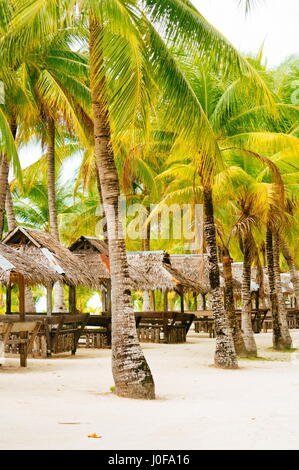 Nipa huts on the white coral sand beach surounded with palms Stock Photo