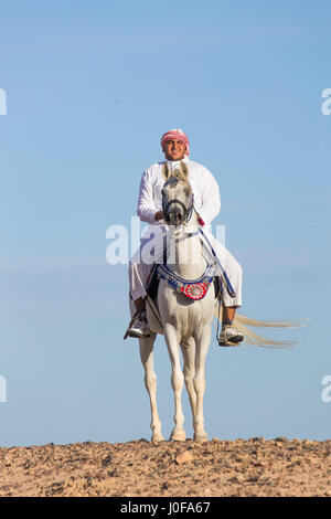 Arabian Horse. Rider In Traditional Dress On Black Stallion Galloping ...