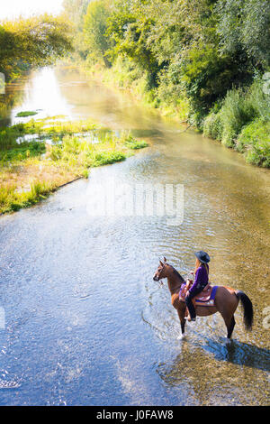 Arabian Horse. Rider with bay mare standing in shallow river, seen from above. Germany Stock Photo