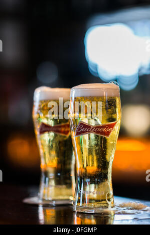 https://l450v.alamy.com/450v/j0fgmp/two-freshly-pouted-pints-of-budweiser-beer-on-a-bar-top-j0fgmp.jpg